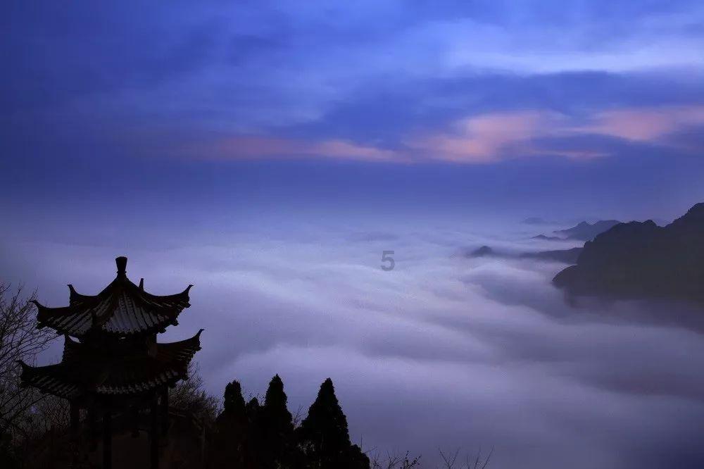 奇妙香蕉之旅