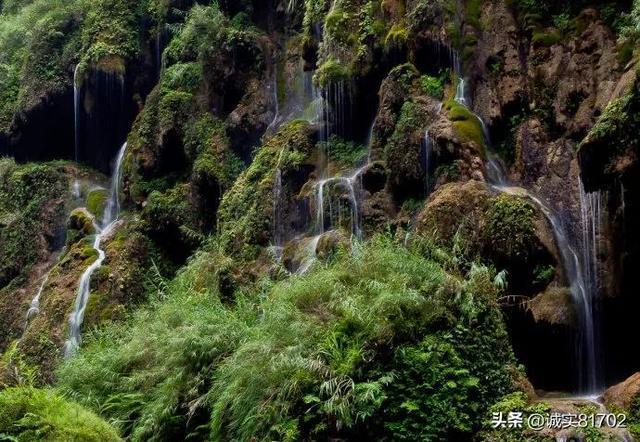 幻想纹章2.0